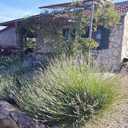 Holiday home House Soline